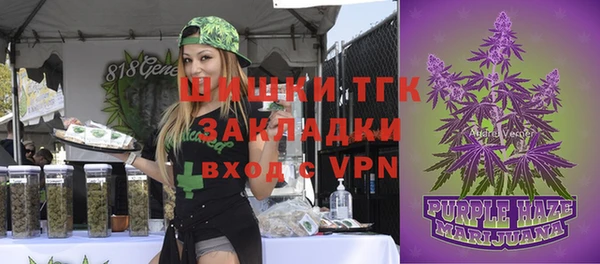 прущий лед Каменка
