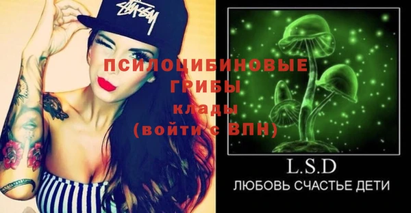прущий лед Каменка