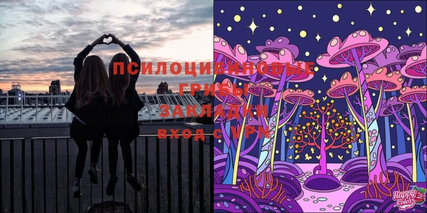 прущий лед Каменка