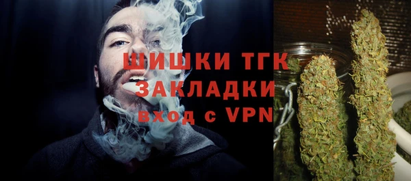прущий лед Каменка