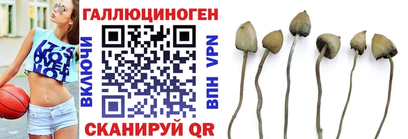 Псилоцибиновые грибы GOLDEN TEACHER  купить закладку  Невинномысск 