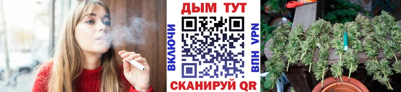 дарнет шоп  Невинномысск  Бошки Шишки Bruce Banner 